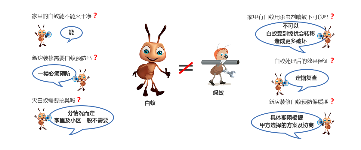 白蟻綜合防治服務(wù)